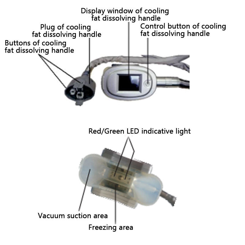 Portable 4-Handle Factory Price Cryo Fat Lowering Weight Loss Slimming Machine