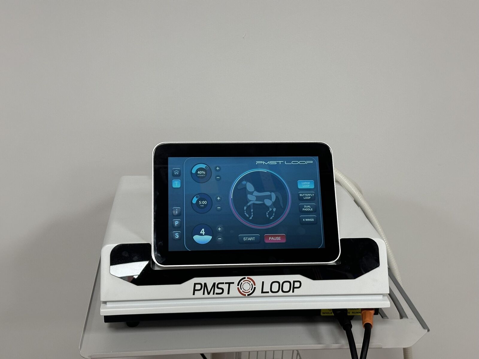 PEMF PMST LOOP Magnetic Therapy Machine for Horse Human Pain Rehabilitation