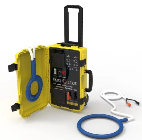 Pro Physical Therapy Rehabilitation Magnetic Pmst Loop Pemf Pain Relief Machine For Horses Human