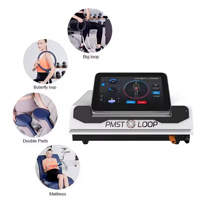 PEMF PMST LOOP Magnetic Therapy Machine for Horse Human Pain Rehabilitation